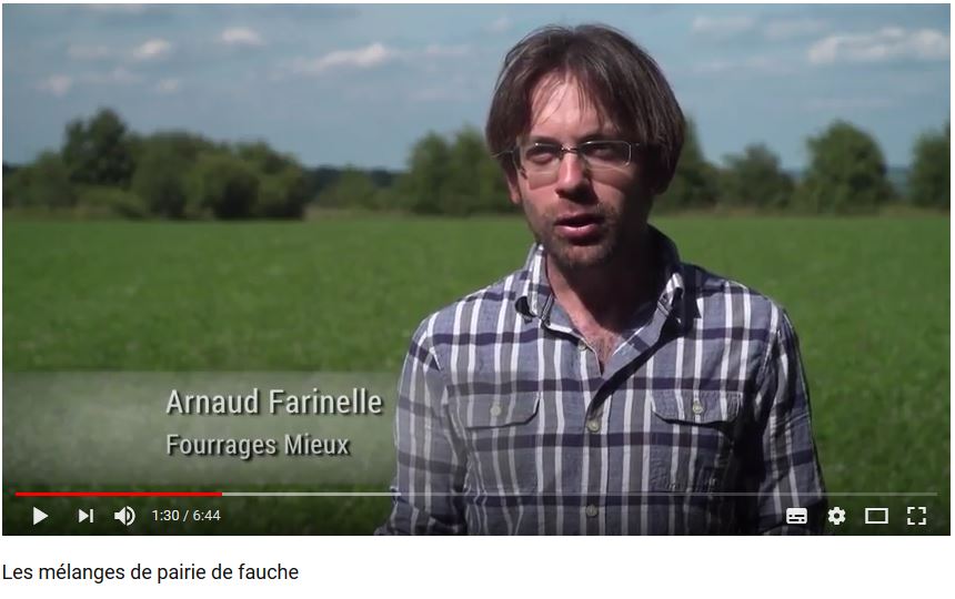 Arnaud
